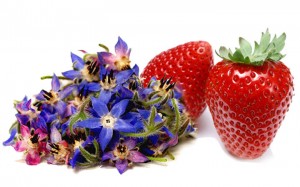 www.laba.ws_Fresh_Strawberries