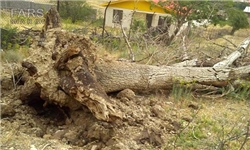 13930314000315_PhotoA