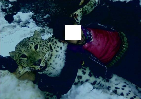 شکارچی پلنگ در شهرستان تالش به 3 سال و شش ماه حبس محکوم شد