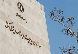 تفویض اختیارات سازمان مدیریت کشور به استانها