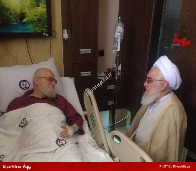 photo_2015-05-03_16-39-40