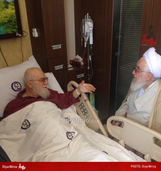 photo_2015-05-03_16-39-55