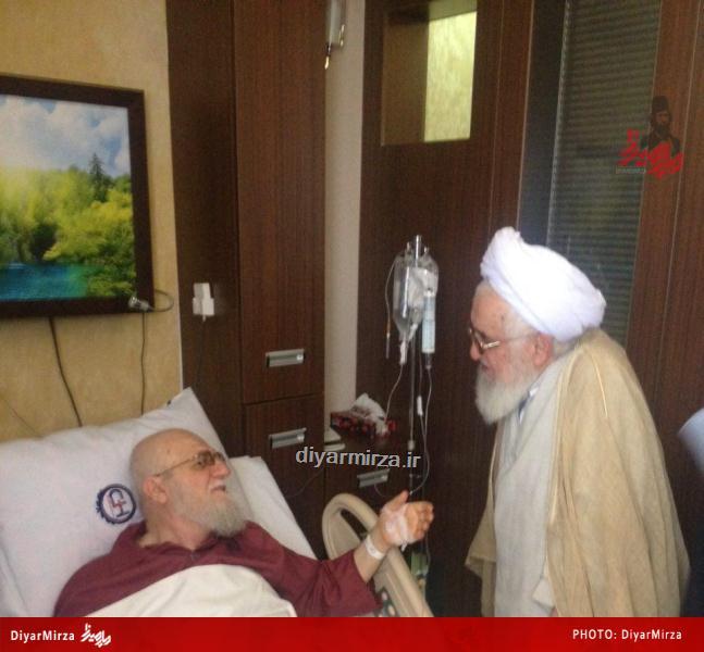 photo_2015-05-03_16-40-00