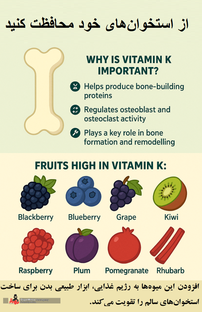  با ویتامین K از استخوان‌های خود محافظت کنید