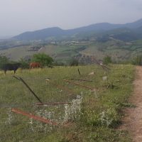 ادامه تنش میان مردم خاصکول و جهاد کشاورزی رودبار در سایه ضعف خانم فرماندار!