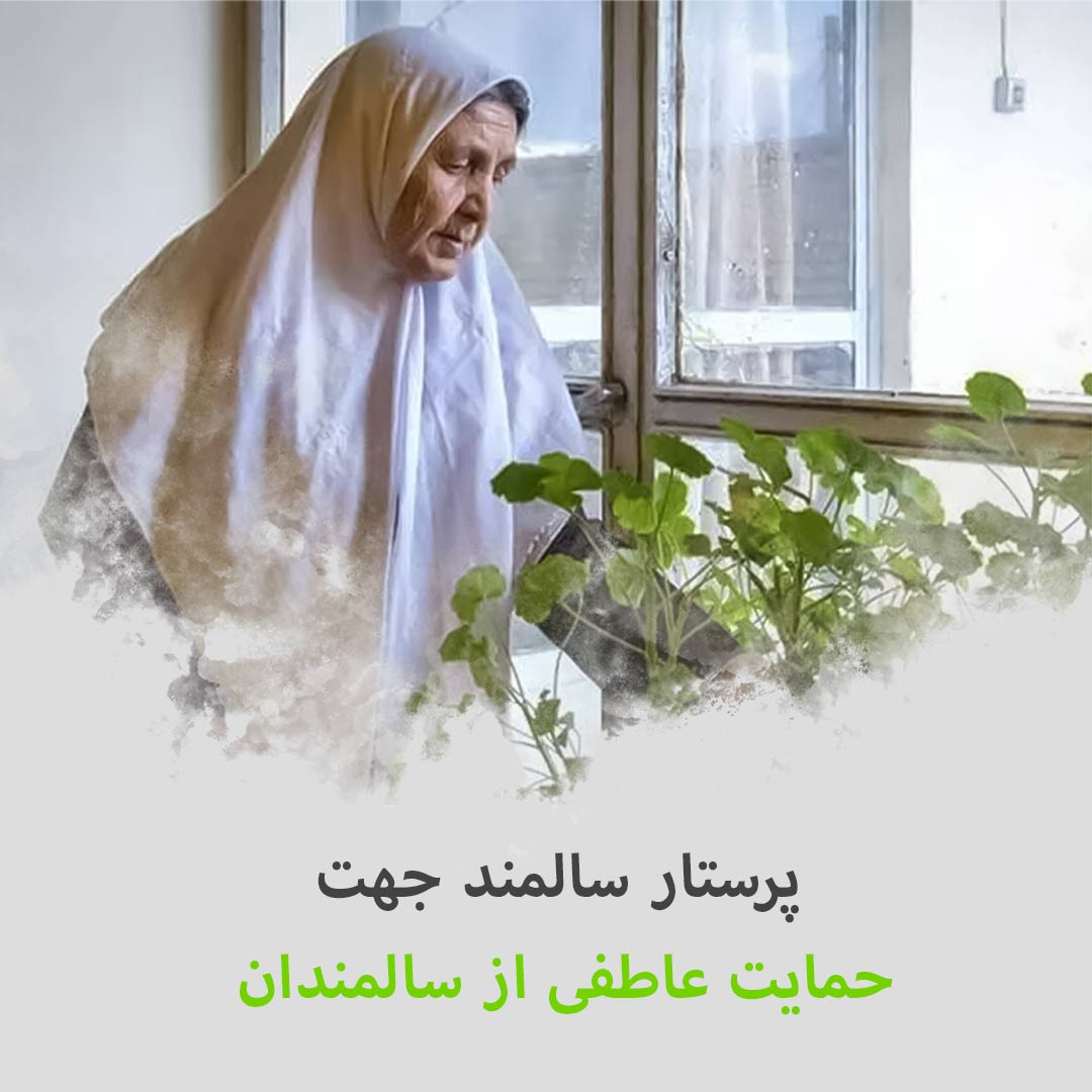 پرستار سالمند جهت حمایت عاطفی سالمند