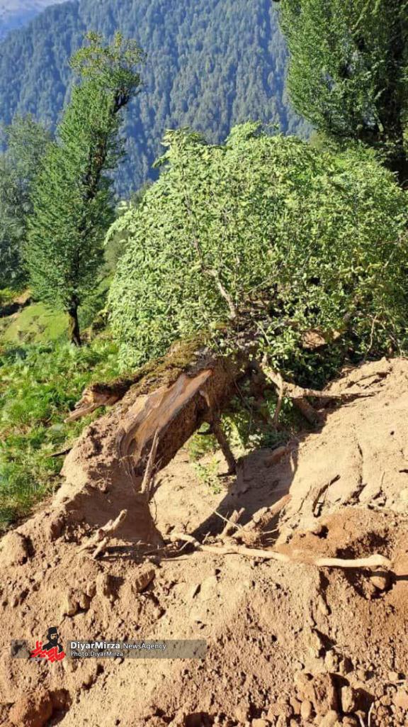 احداث شبانه جاده‌ دایله‌سر تا خرم‌کش در دل جنگلهای هیرکانی شفت!