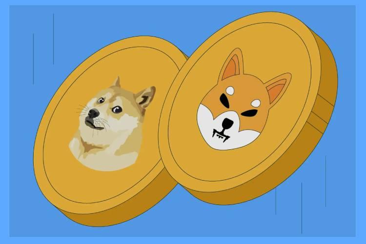 شیبا اینو بهتر است یا دوج کوین؟