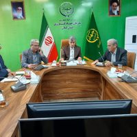 دوبرابر شدن سطح زیر کشت گیاهان دارویی در گیلان؛ از به لیمو و ختمی تا زعفران