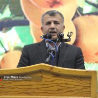 تصاویری از جشنواره شکرانه برداشت کیوی در تالش