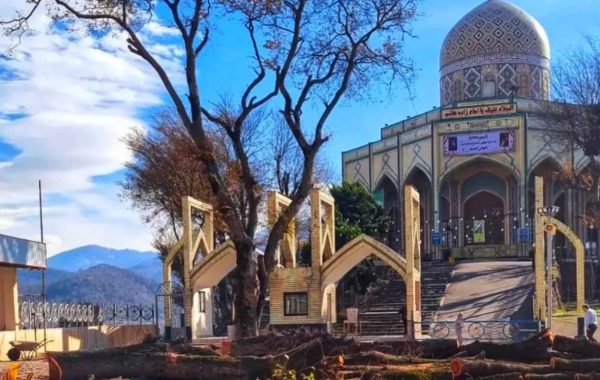 قطع درختان امامزاده هاشم (ع) رشت