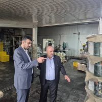 اخطار دادستان رودبار به واحدهای فرآوری زیتون: رعایت الزامات زیست‌محیطی یا پلمب واحدها